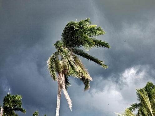 Hurricane